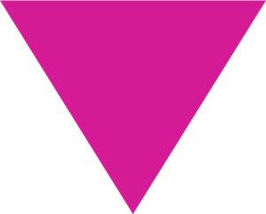 LGBTQ Freedom Fund Logo